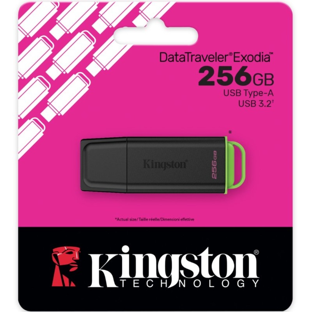 256GB USB KINGSTON