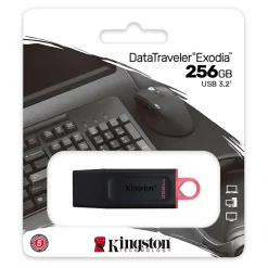 256GB USB KINGSTON