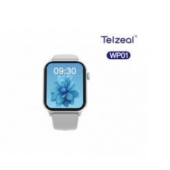 WP01 WATERPROOF RELOJ SILVER